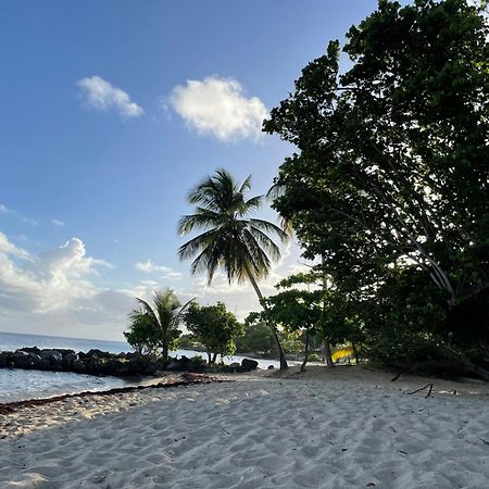 Villa Caraibes Sainte-Luce Exteriör bild