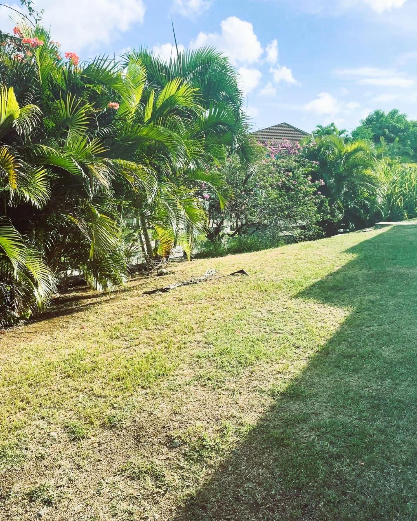 Villa Caraibes Sainte-Luce Exteriör bild
