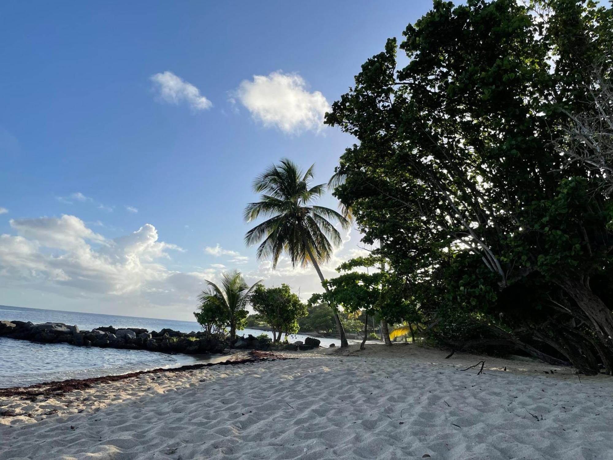 Villa Caraibes Sainte-Luce Exteriör bild